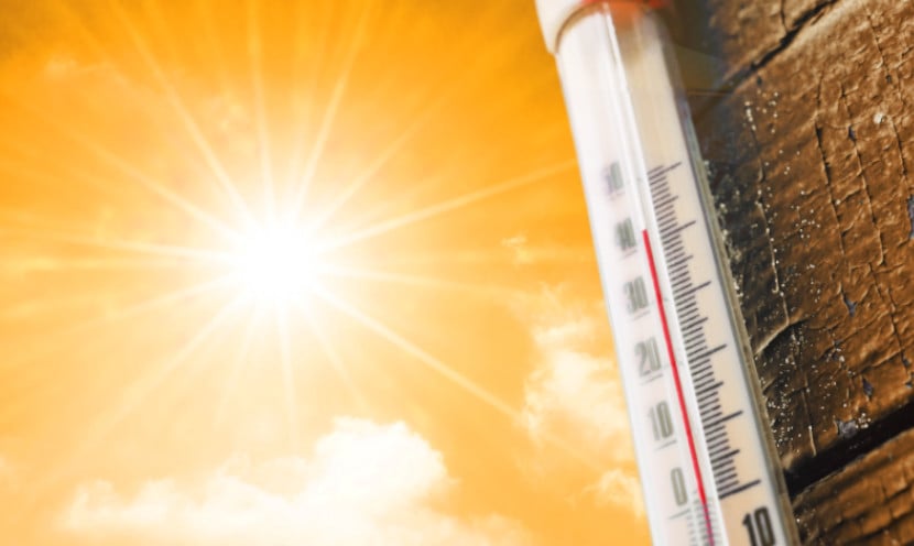 Canicule, rafraîchisseur d'air, ventilateur, climatiseur